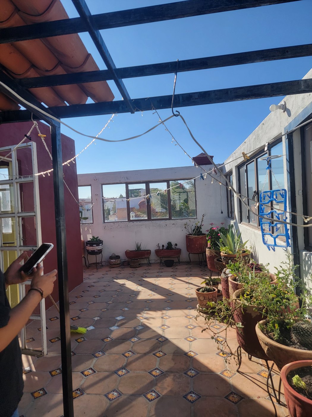 A sunlit rooftop courtyard with potted plants
