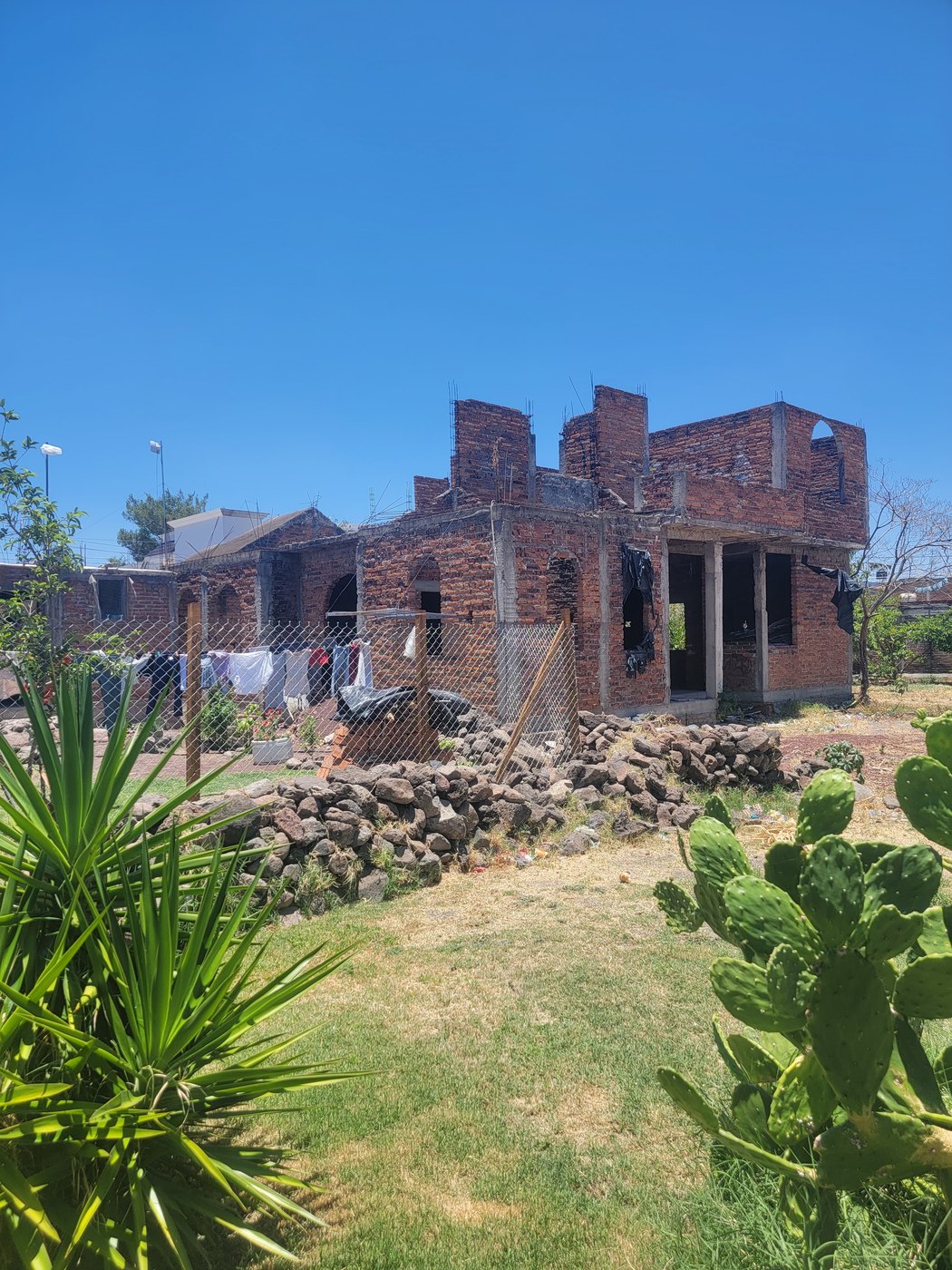 An unfinished brick home surrounded by plants and cacti