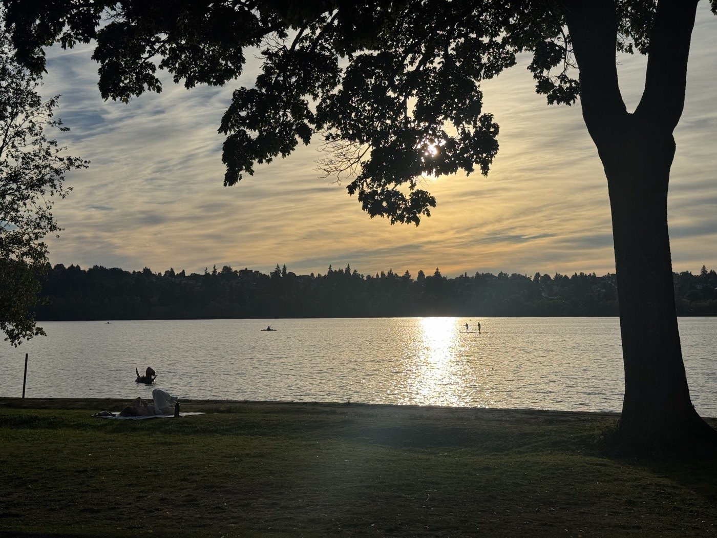 Sunlight reflecting across a lake beneath a tree-lined shore