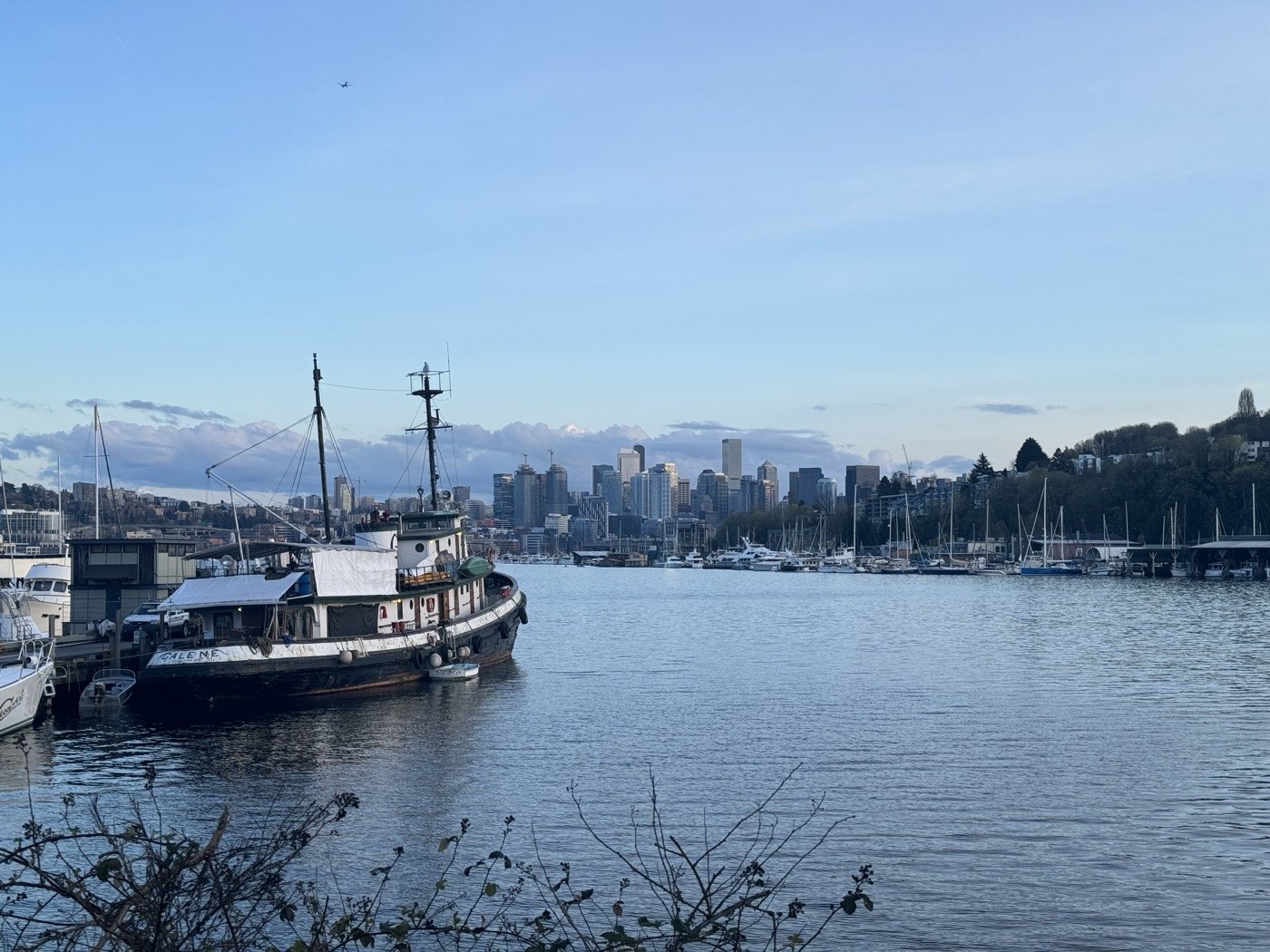 A boat and marina with the Seattle skyline across the water