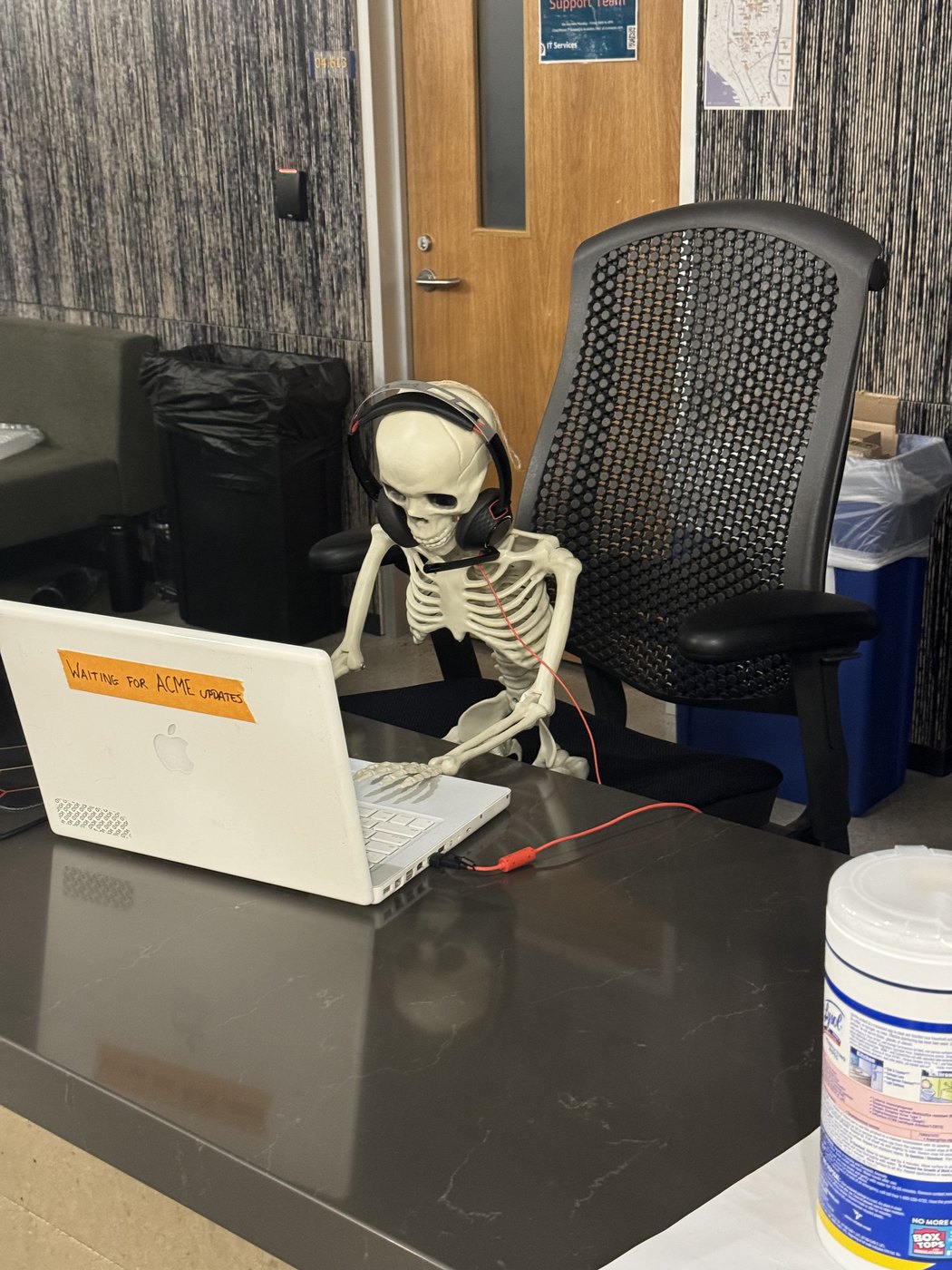 A small skeleton posed at a desk with a laptop